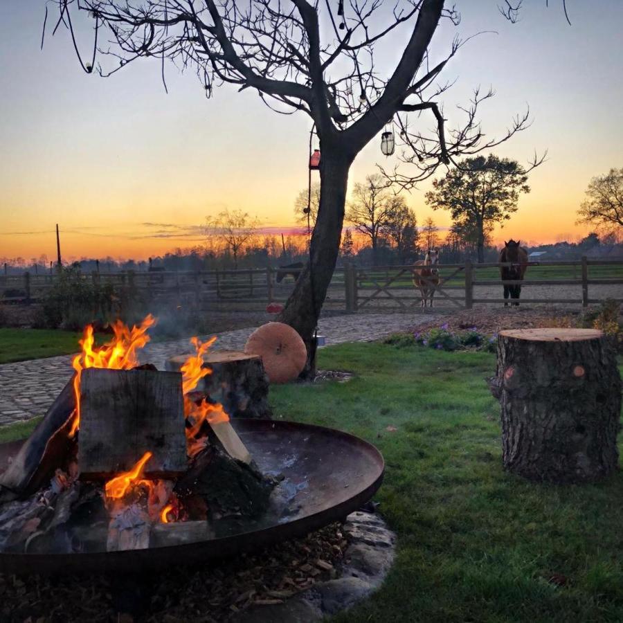 De Worfthoeve Bed and Breakfast Geel Εξωτερικό φωτογραφία