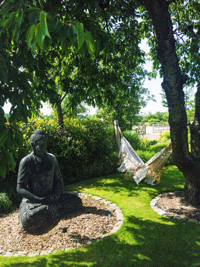 De Worfthoeve Bed and Breakfast Geel Εξωτερικό φωτογραφία