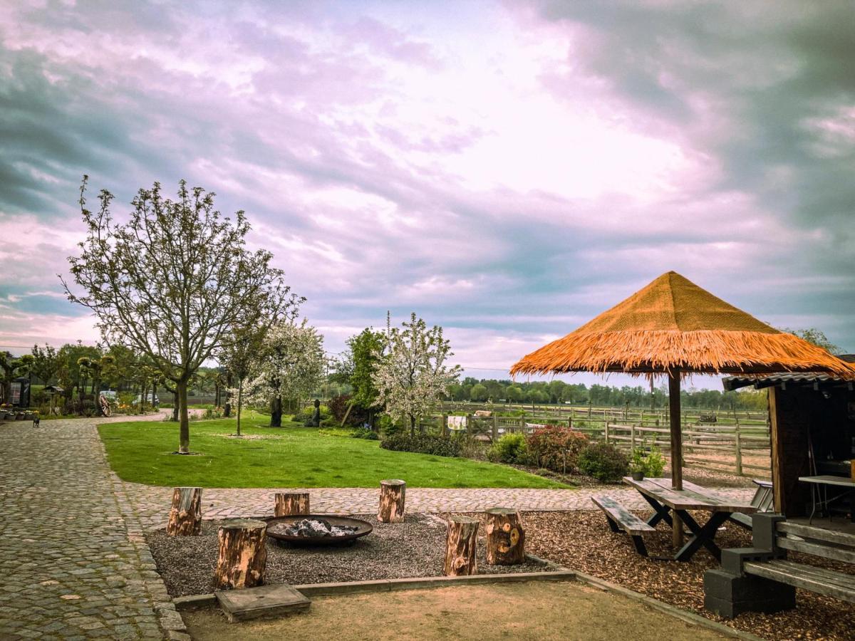De Worfthoeve Bed and Breakfast Geel Εξωτερικό φωτογραφία